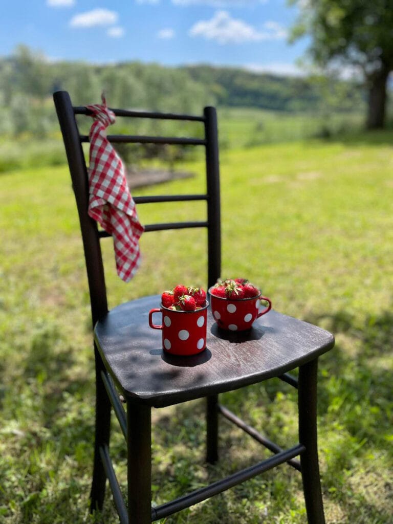 Reunica obnova starega pohištva obnovljen stol Retro dodatki za pohištvo