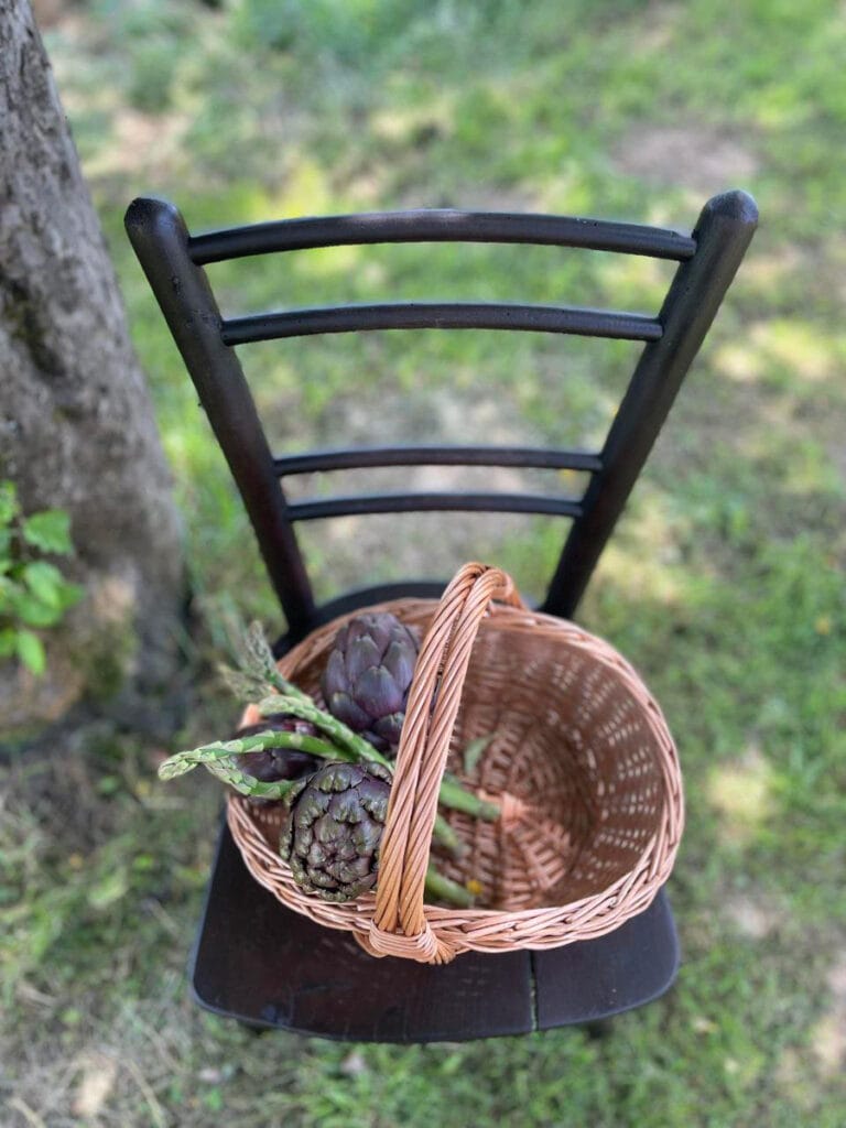 Reunica obnova starega pohištva obnovljen stol Retro dodatki za pohištvo